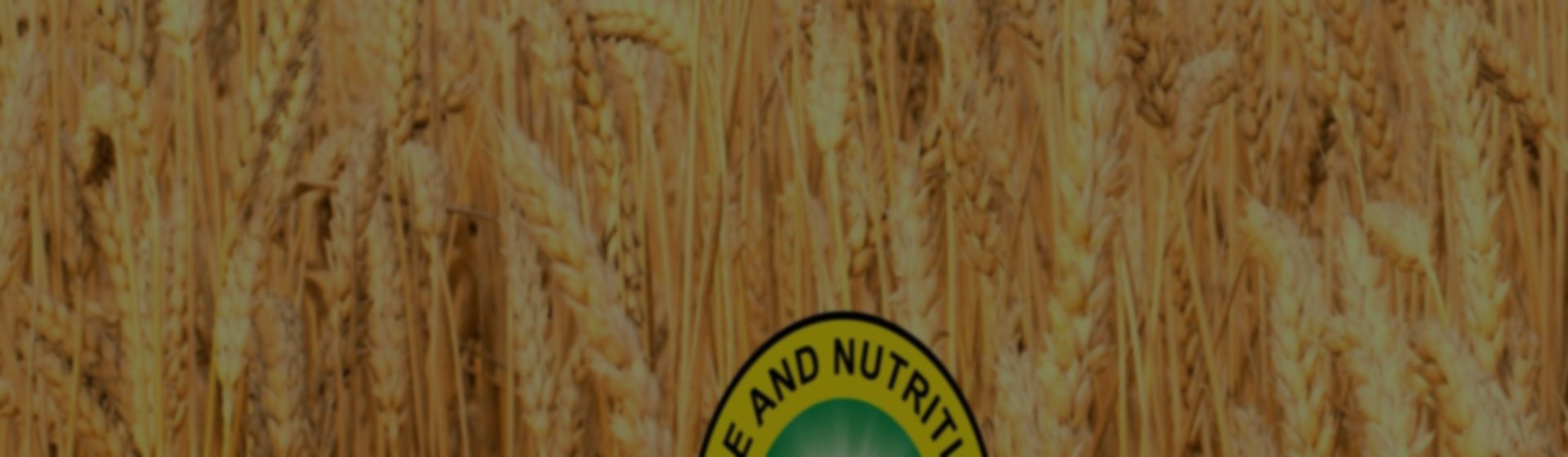 Wheat field at harvest
